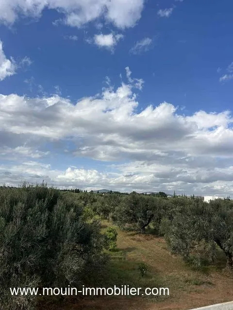 TERRAIN CLAUDIA Douikhla Hammamet Sud T1219