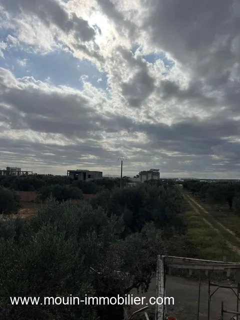 TERRAIN CLAUDIA Douikhla Hammamet Sud T1219