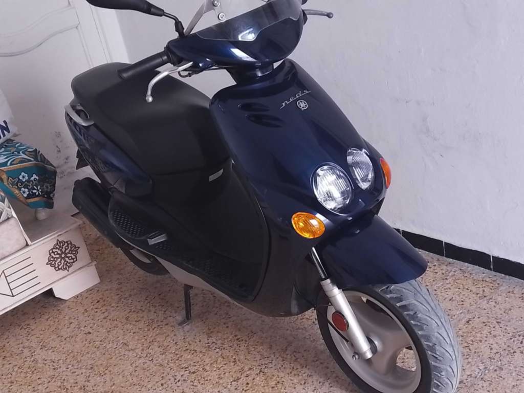 Ovetto à vendre hammamet nabeul 5300Dt
