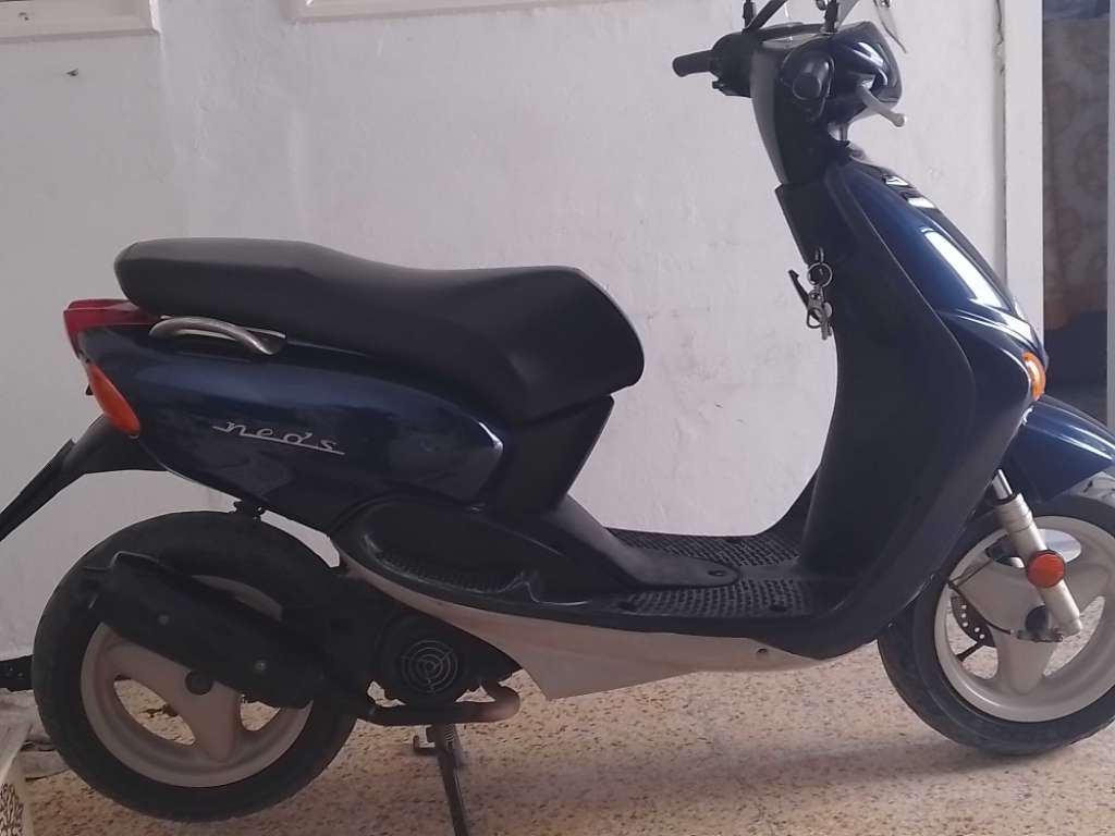 Ovetto à vendre hammamet nabeul 5300Dt