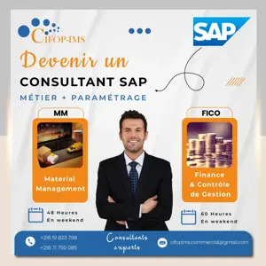 Formation SAP S/4HANA : FICO & MM-SD