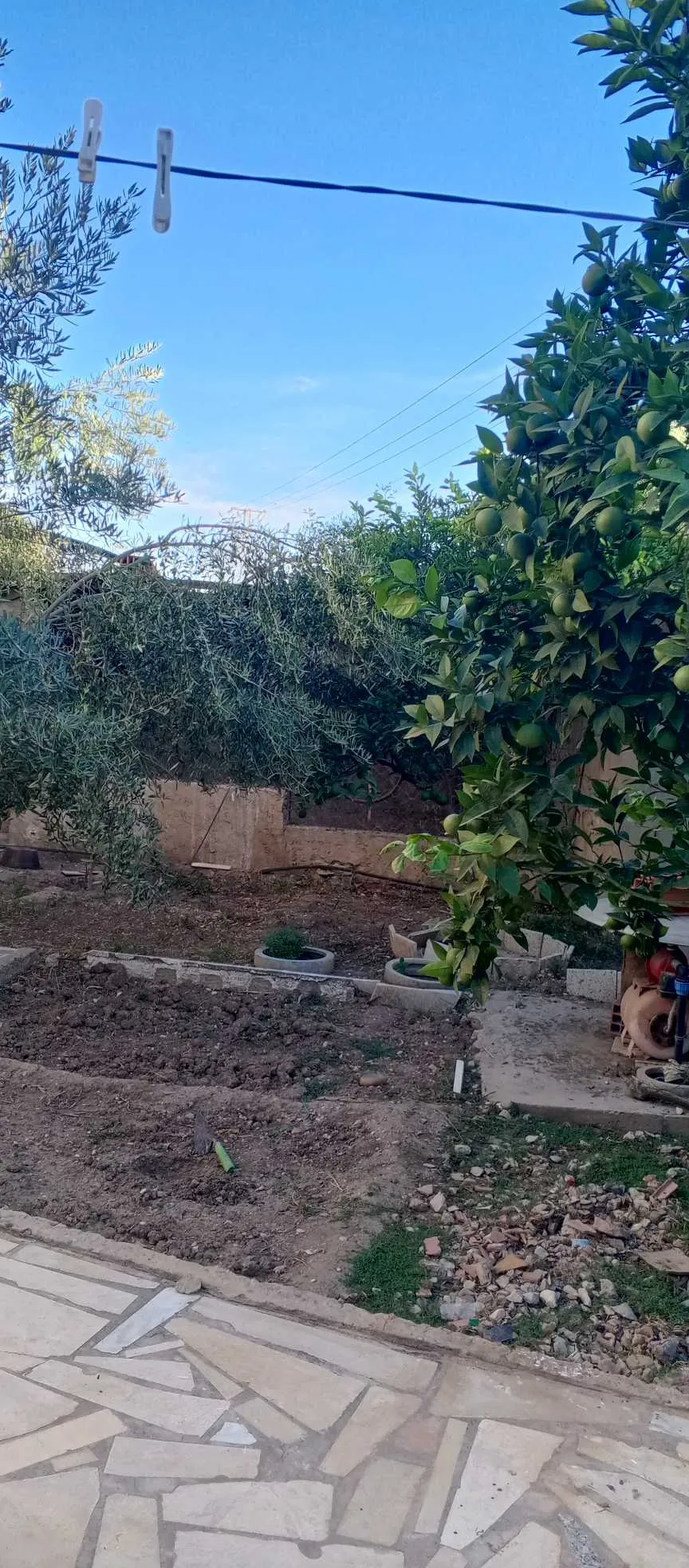vendre maison à bousalem cité 20 mars