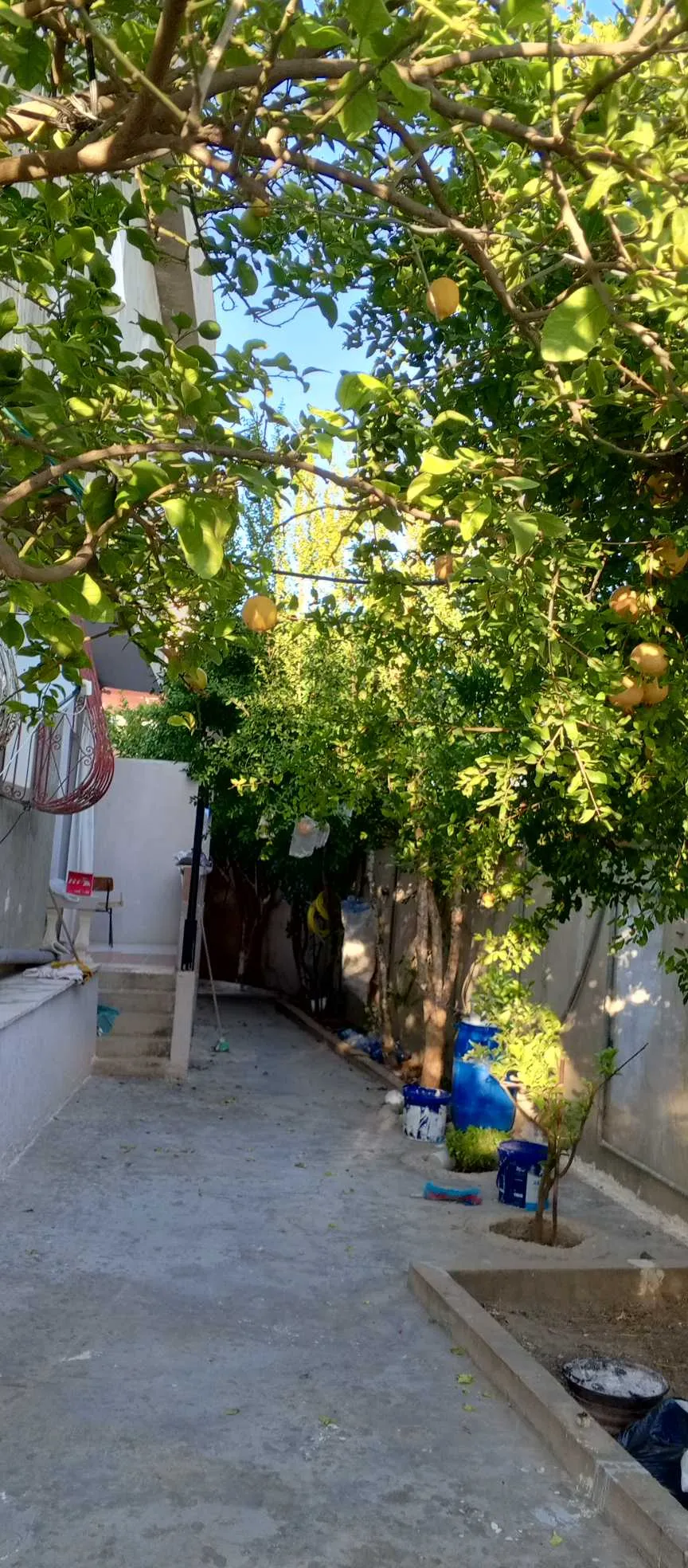 vendre maison à bousalem cité 20 mars