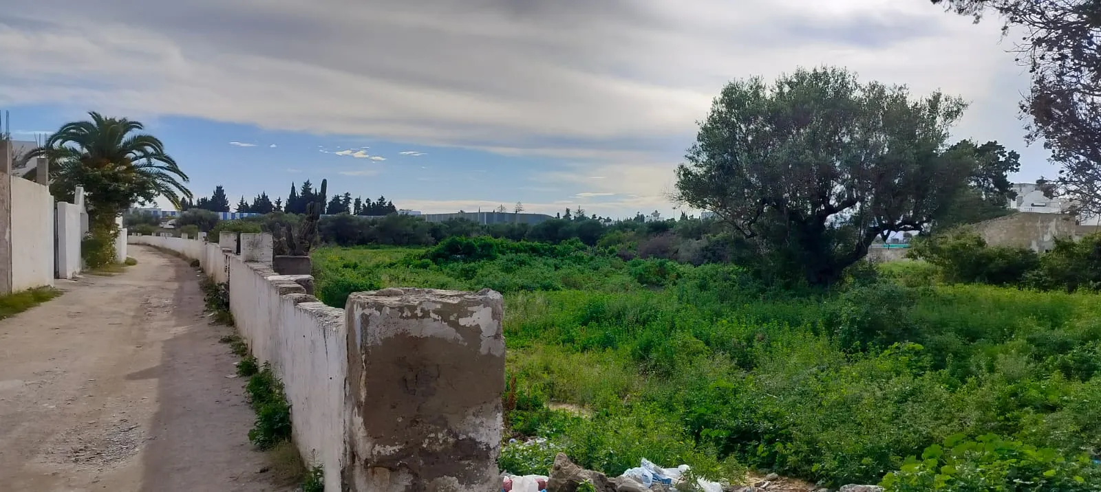 villa a hammamet nord 300 m