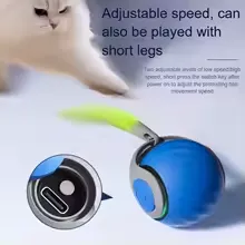 Balle interactive pour chat