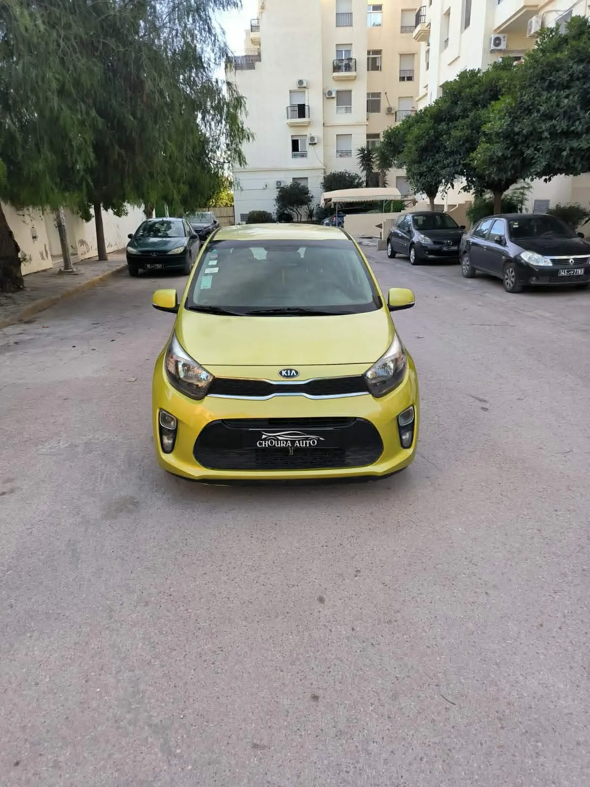 kia picanto