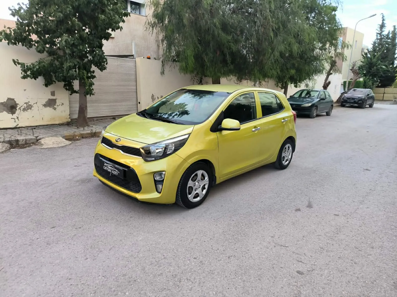 kia picanto