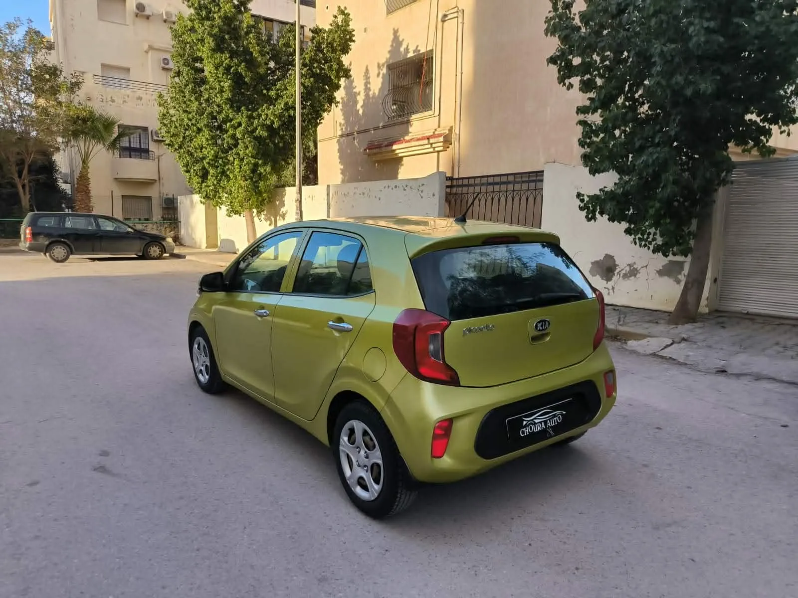 kia picanto