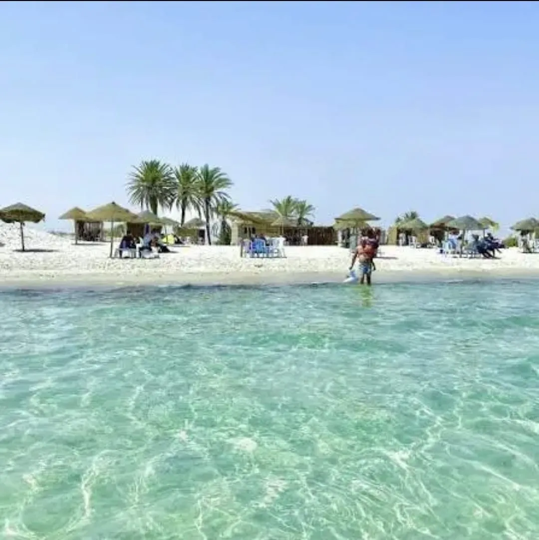 Appartement S+1 Pratique