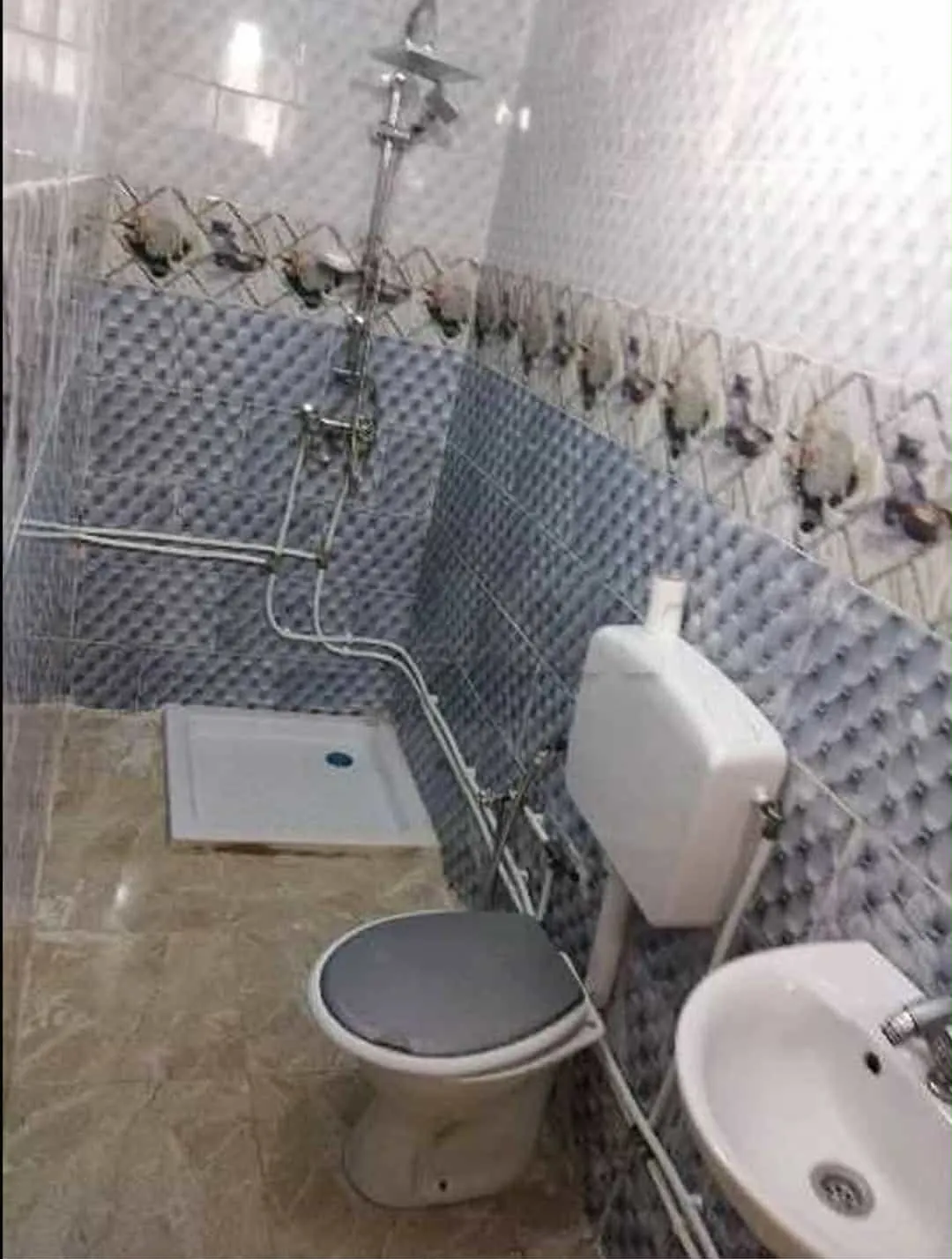 un studio s+1 vide au rdc a louer situé a Bardo Hedi Chaker