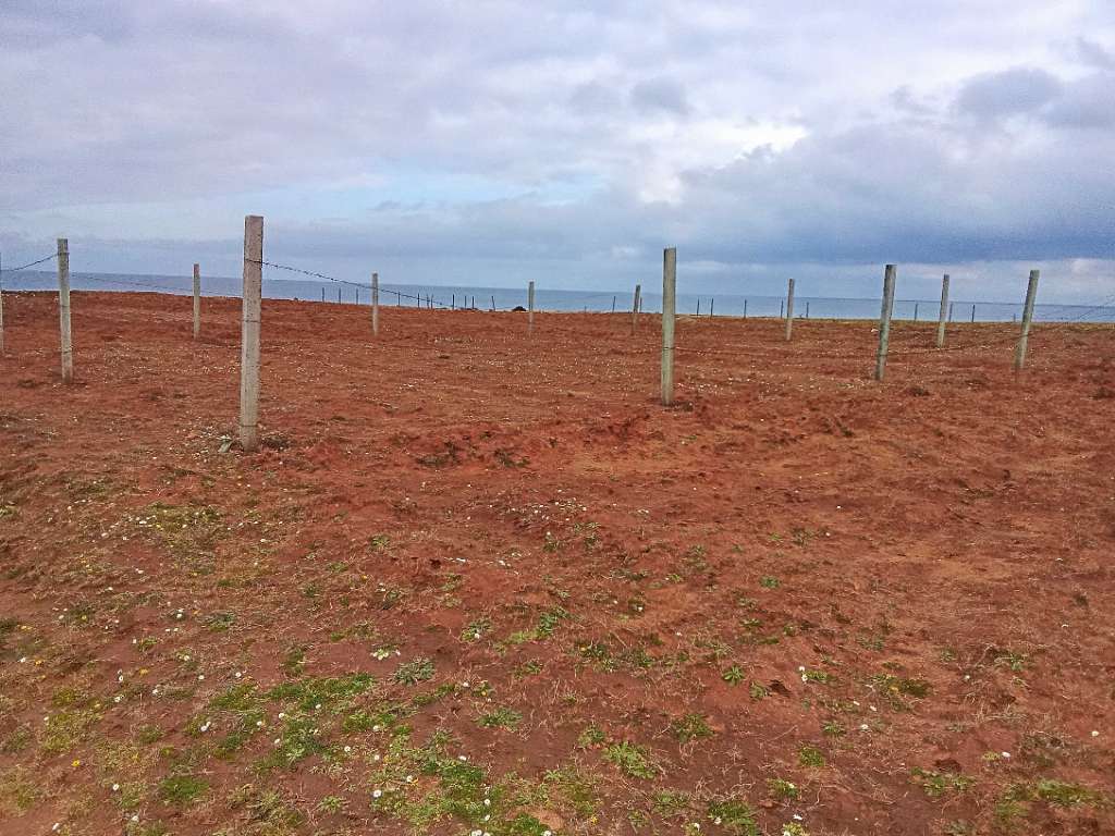 قطعة الأرض للبيع 400م² موقع أول على البحر غرمان الهوارية 