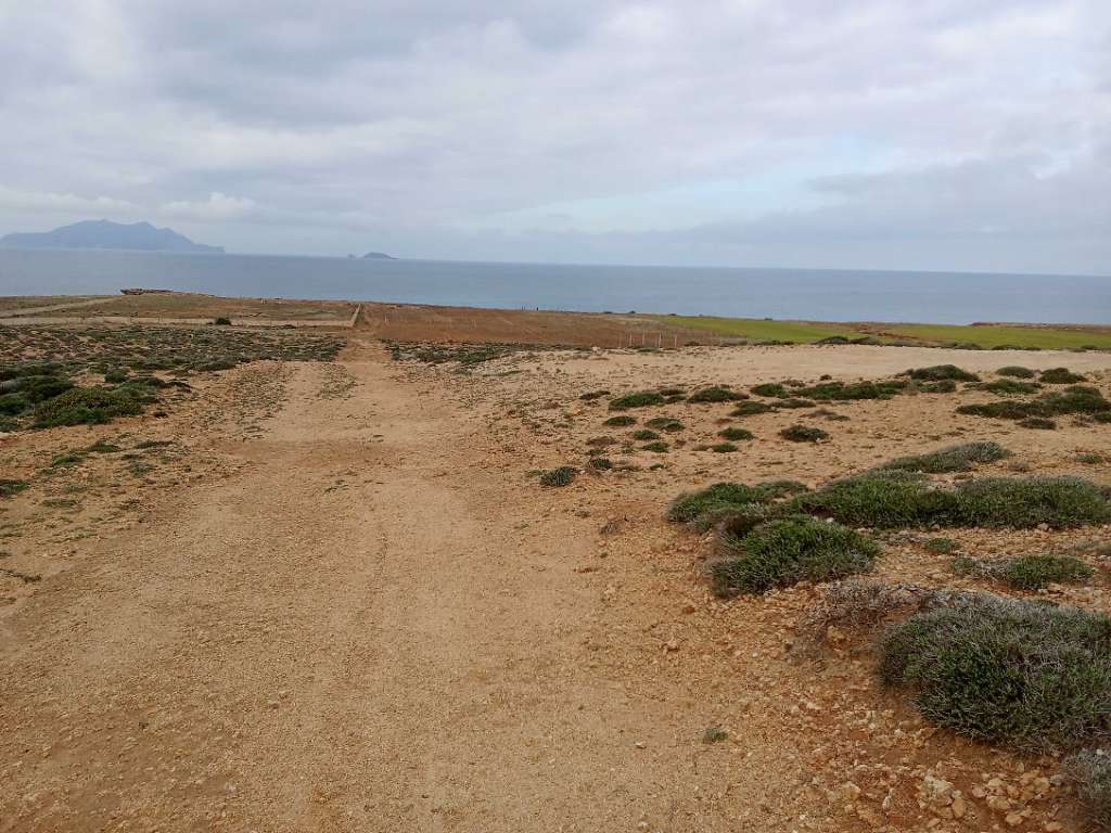 قطعة الأرض للبيع 400م² موقع أول على البحر غرمان الهوارية 