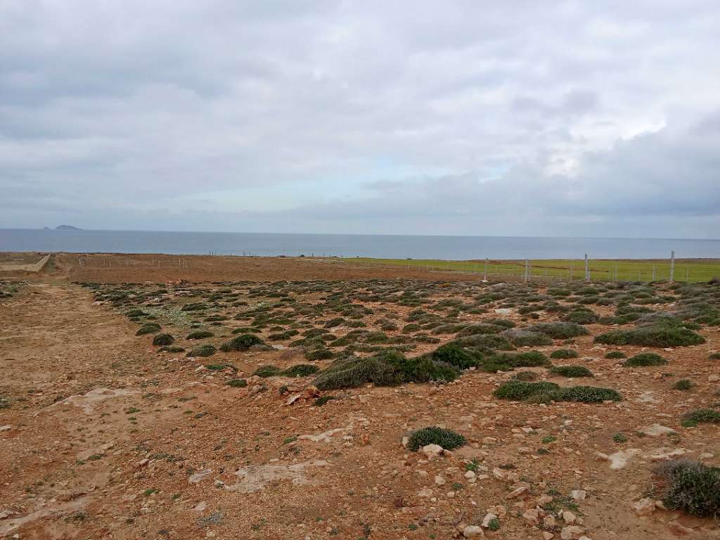 قطعة الأرض للبيع 400م² موقع أول على البحر غرمان الهوارية 