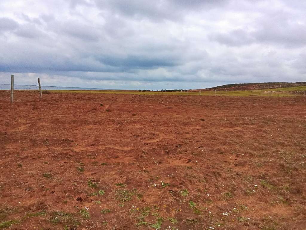 قطعة الأرض للبيع 400م² موقع أول على البحر غرمان الهوارية 