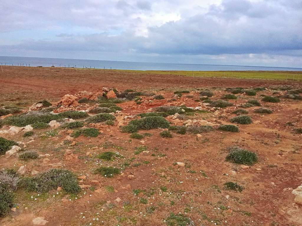 قطعة الأرض للبيع 400م² موقع أول على البحر غرمان الهوارية 