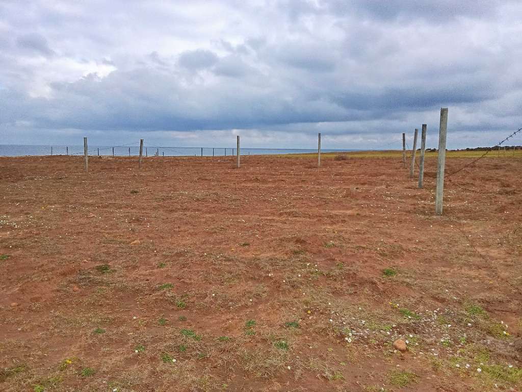 قطعة الأرض للبيع 400م² موقع أول على البحر غرمان الهوارية 