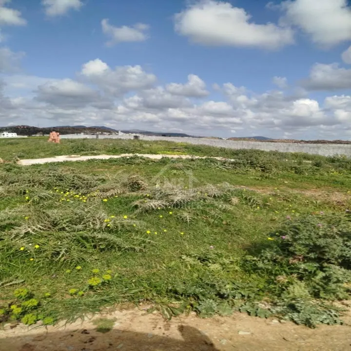 Terrain de 4000 m² à vendre à 100 MD à Hammamet Sud 51355351