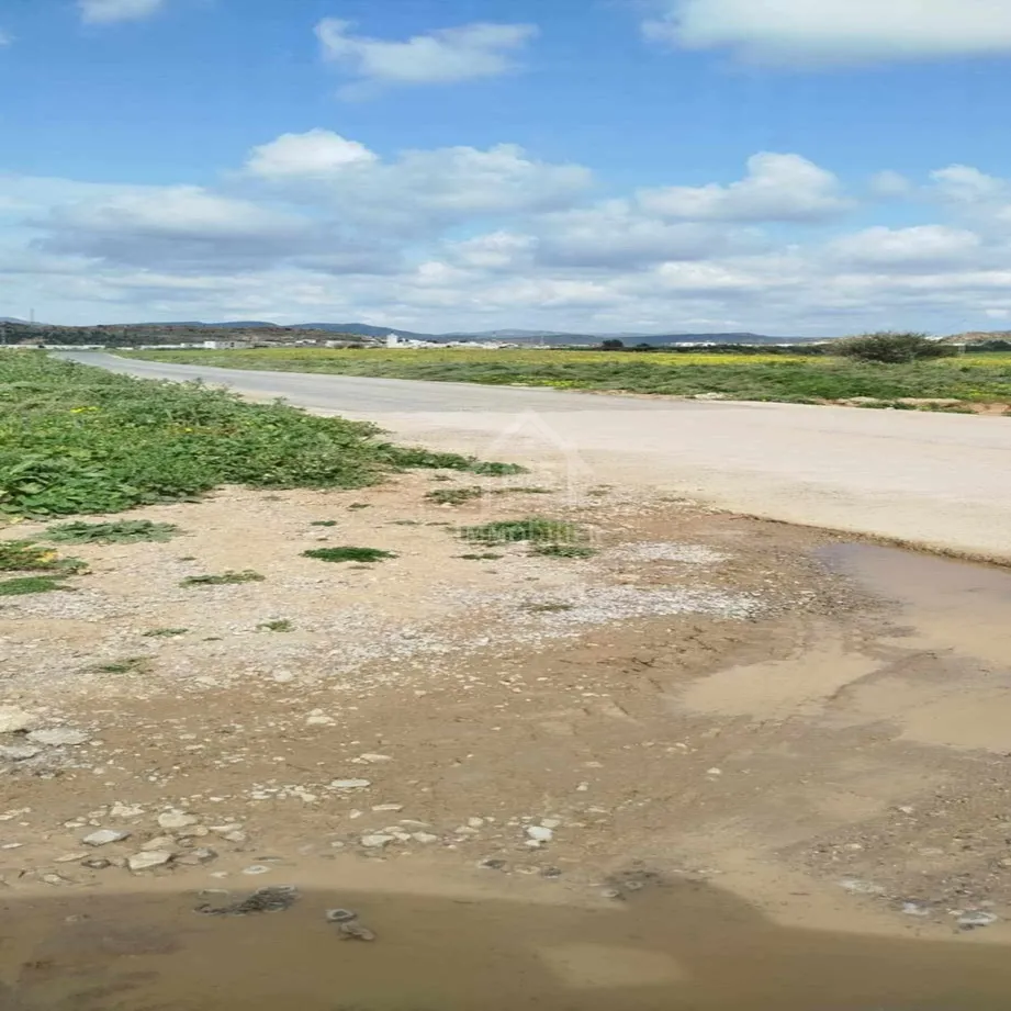 Terrain de 4000 m² à vendre à 100 MD à Hammamet Sud 51355351
