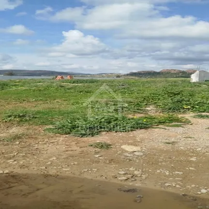 Terrain de 4000 m² à vendre à 100 MD à Hammamet Sud 51355351