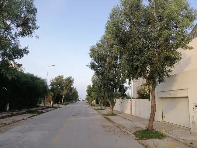 A vendre Terrain lotissement flamant rose