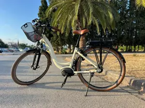 vélo électrique riese & müller swing 
