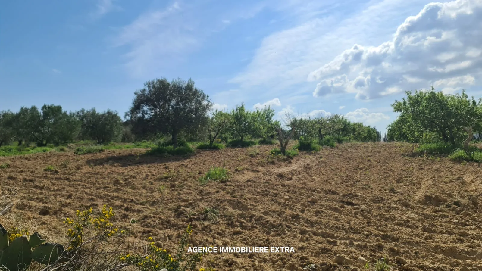 Terrain Agricole à Vendre à Boushem – 5 500 m²