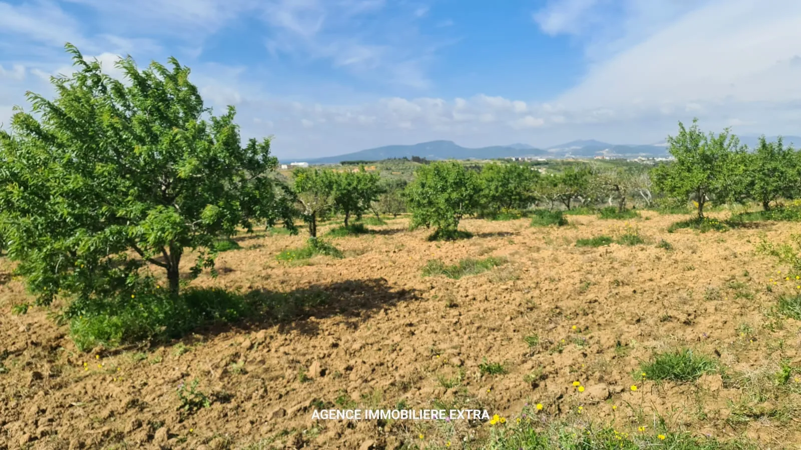 Terrain Agricole à Vendre à Boushem – 5 500 m²