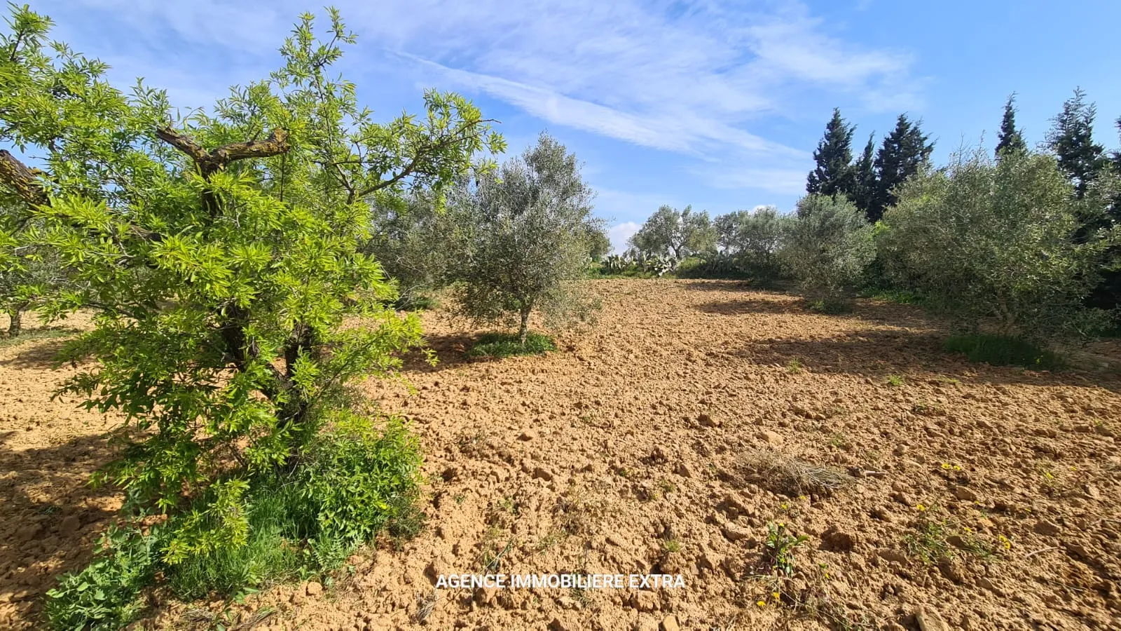 Terrain Agricole à Vendre à Boushem – 5 500 m²