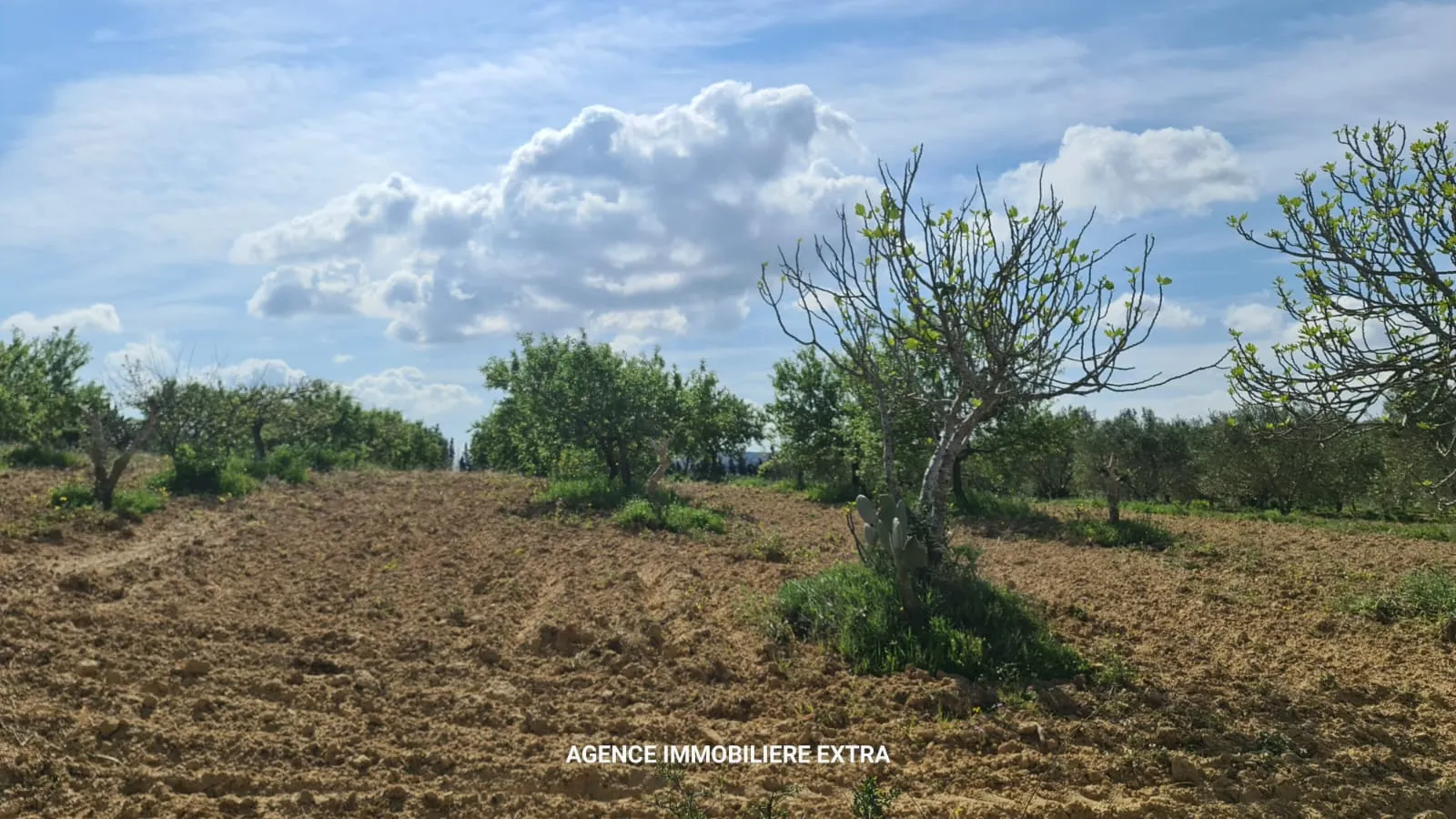 Terrain Agricole à Vendre à Boushem – 5 500 m²