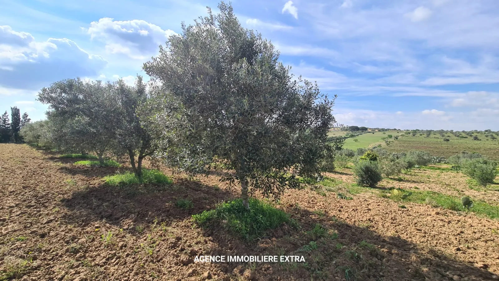 Terrain Agricole à Vendre à Boushem – 5 500 m²