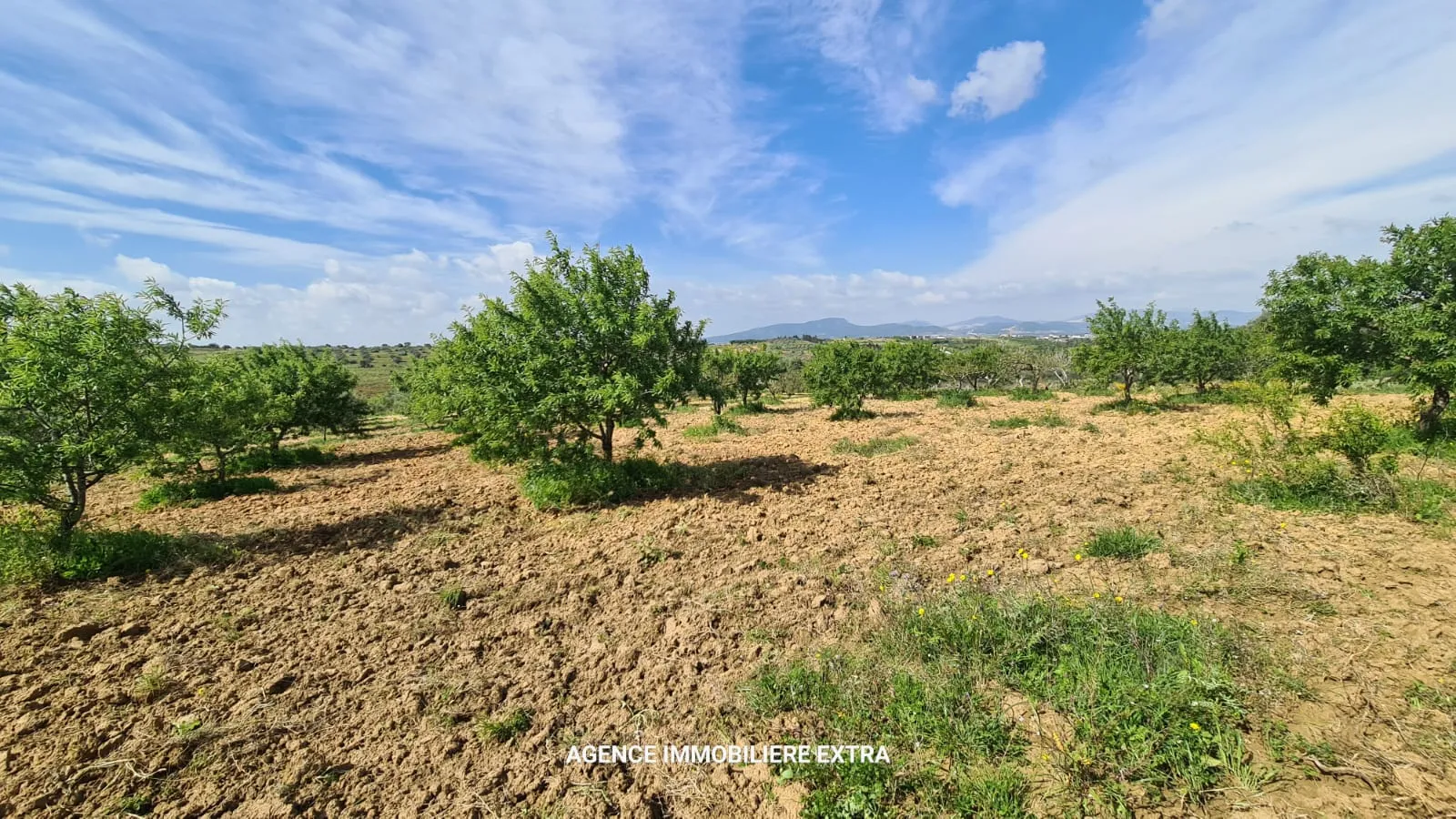 Terrain Agricole à Vendre à Boushem – 5 500 m²