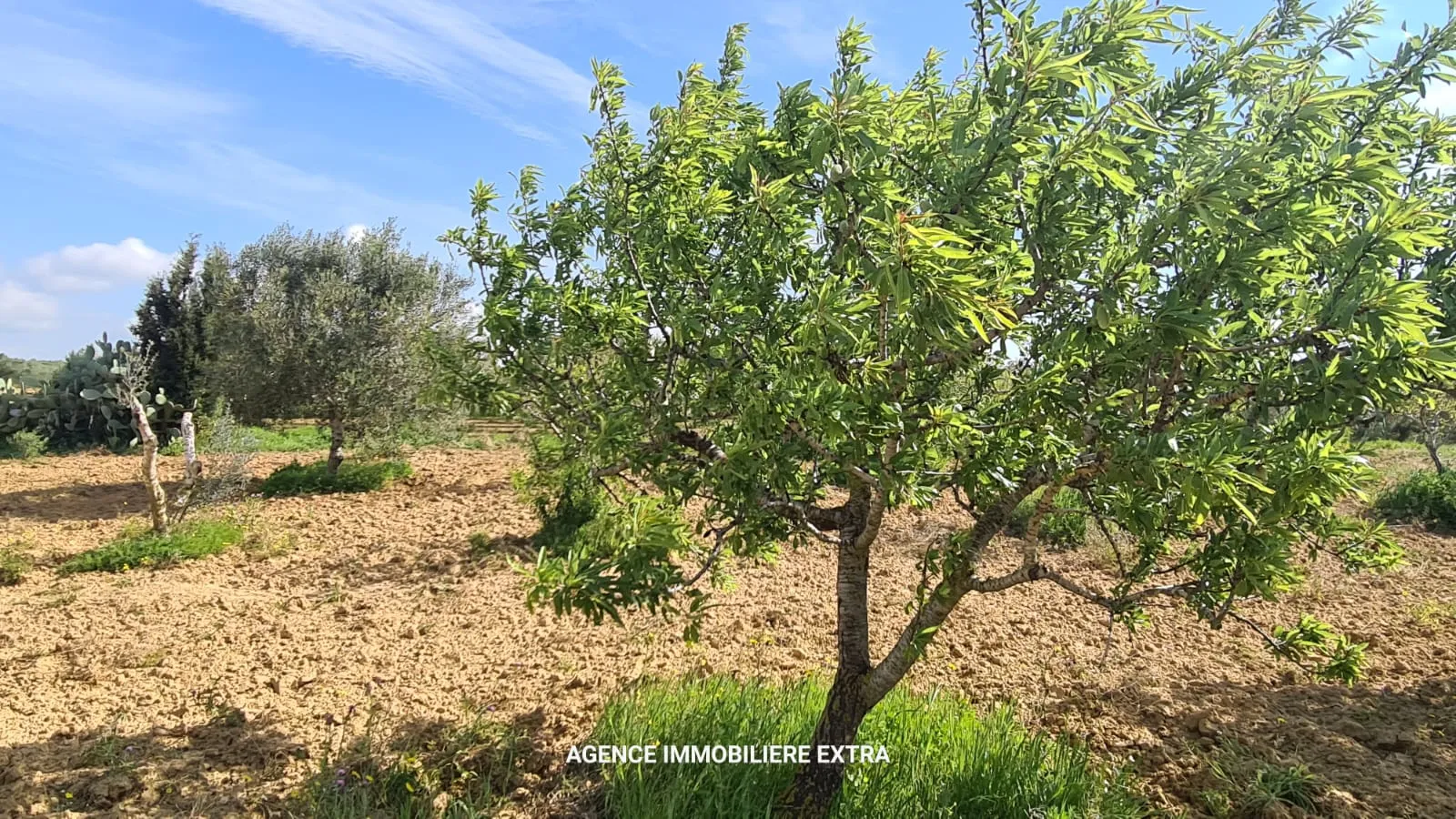 Terrain Agricole à Vendre à Boushem – 5 500 m²