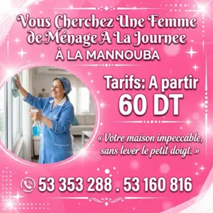 femme de menage par jour 