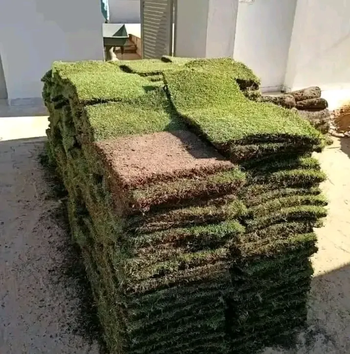 21.226.774  vente et pose gazon naturelle Tunisie 