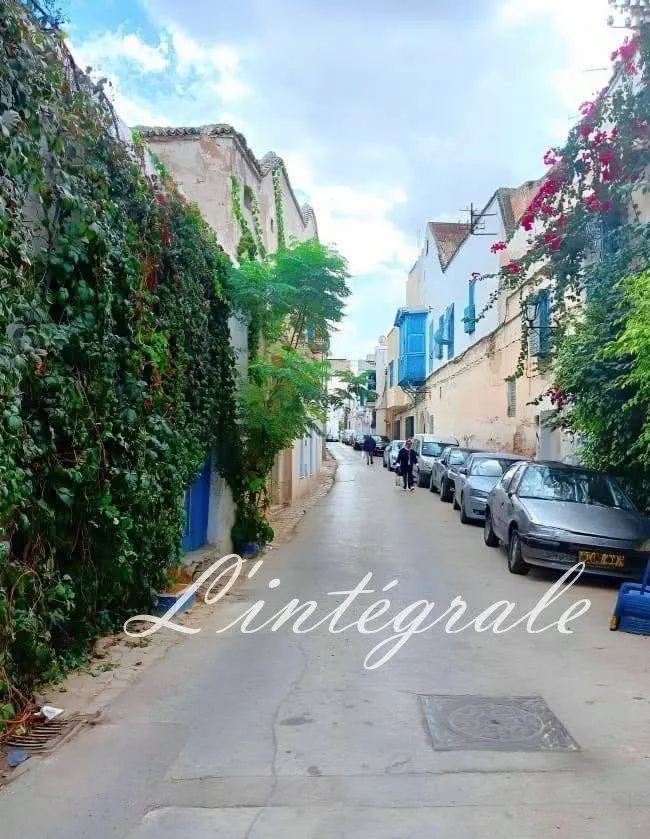 🏡✨ À VENDRE – MAGNIFIQUE MAISON DE CHARME À BAB MNARA, TUNIS 🔑 - photo 9
