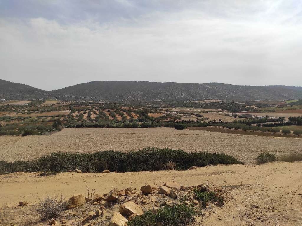 Terrain agricole