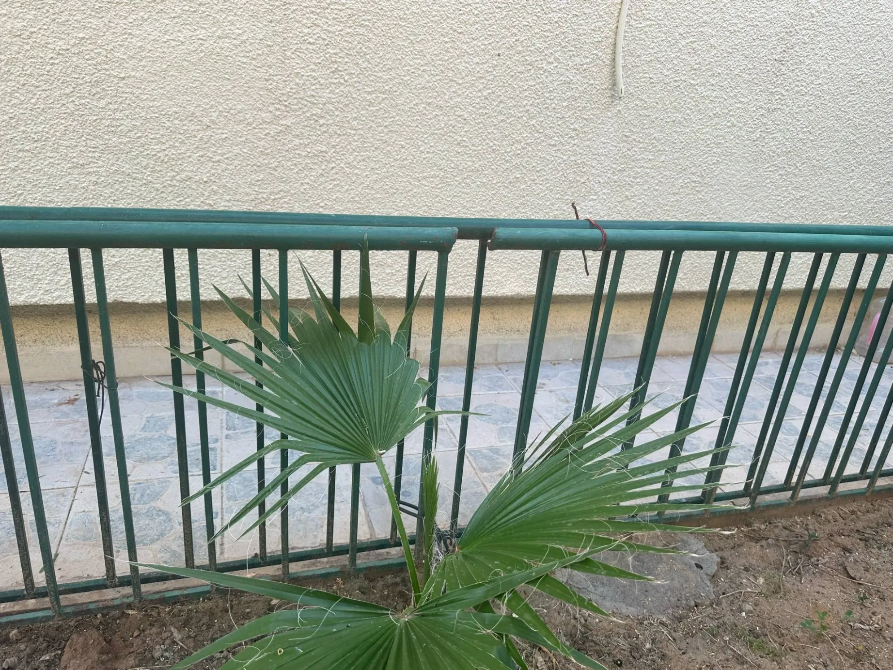 vente de grillage pour un jardin