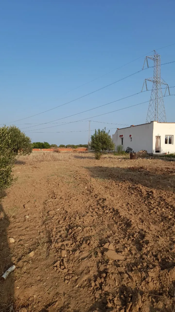 bon plan sur la route principale 15 min de Yasmine Hammamet