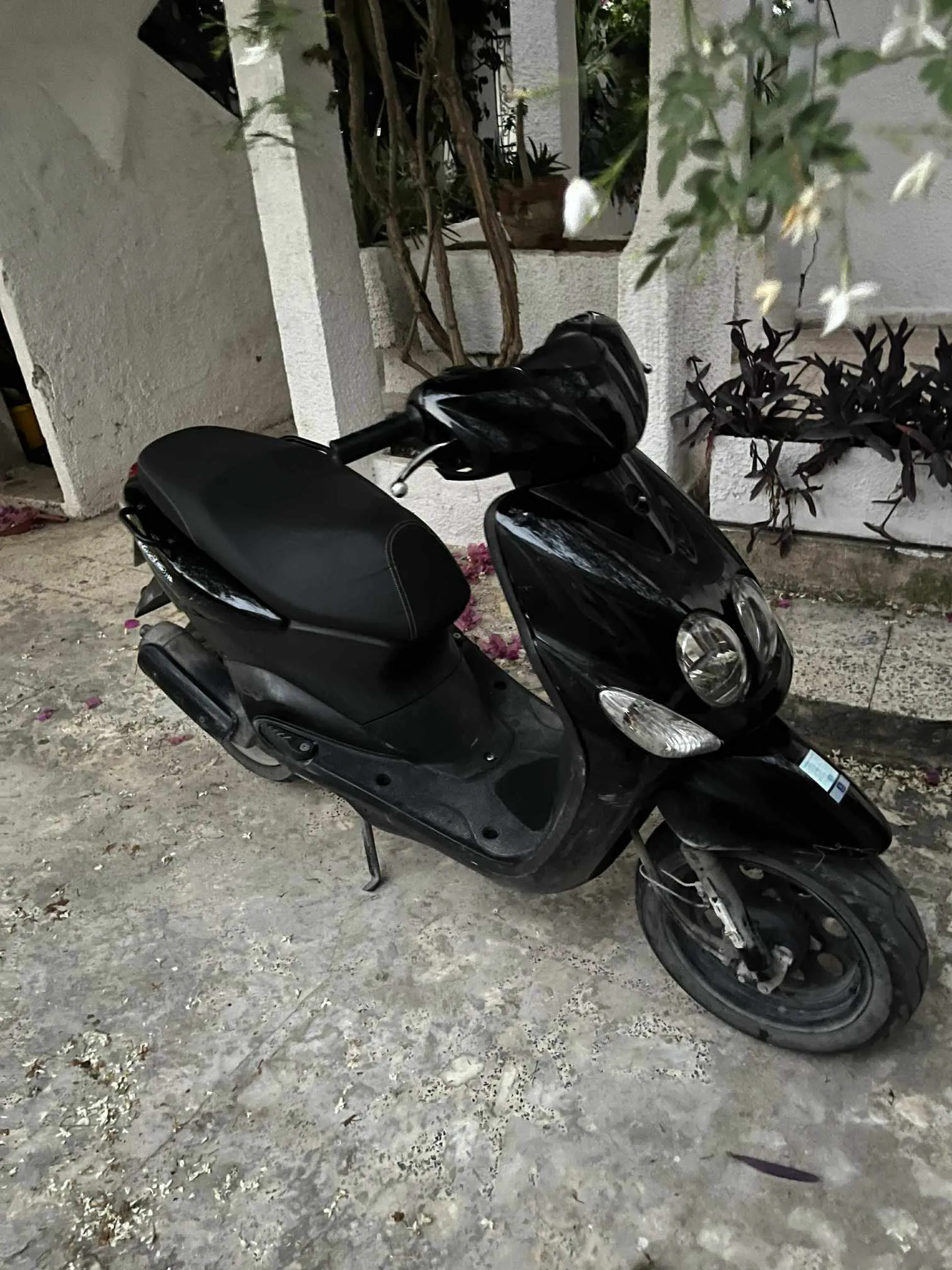 A vendre avetto new model 2016