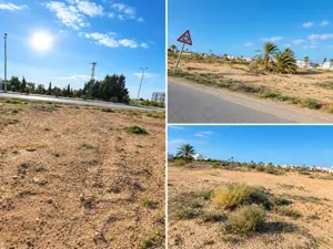 Terrain Premium 3387 m² - Zone Touristique Djerba