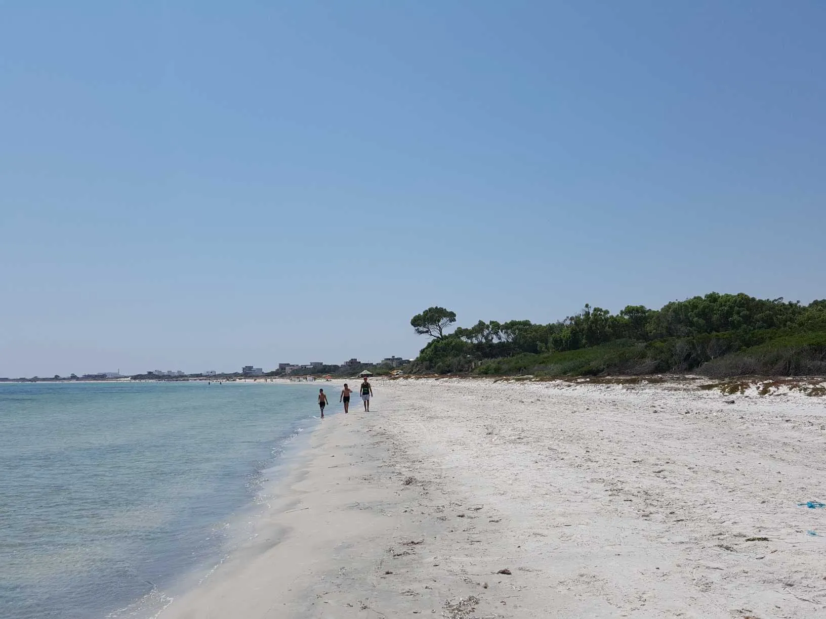 offre de terrain de 1000 m²