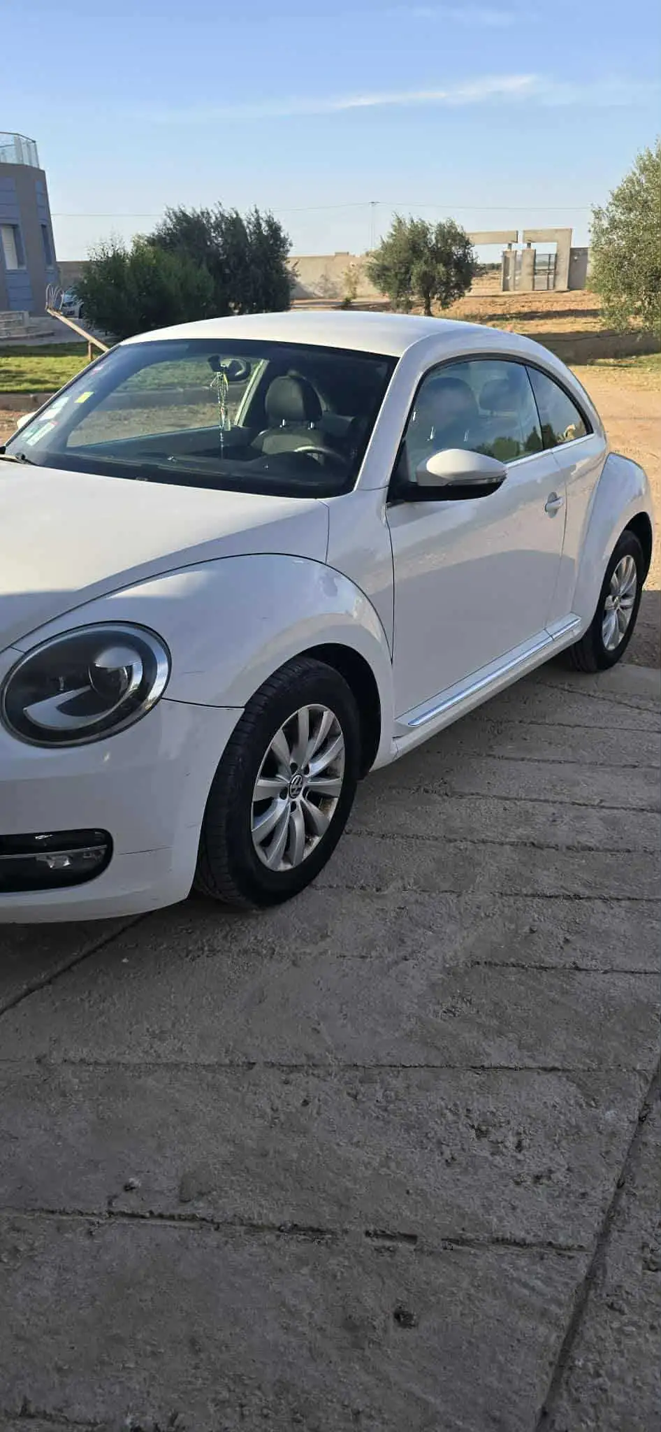 New bettle 