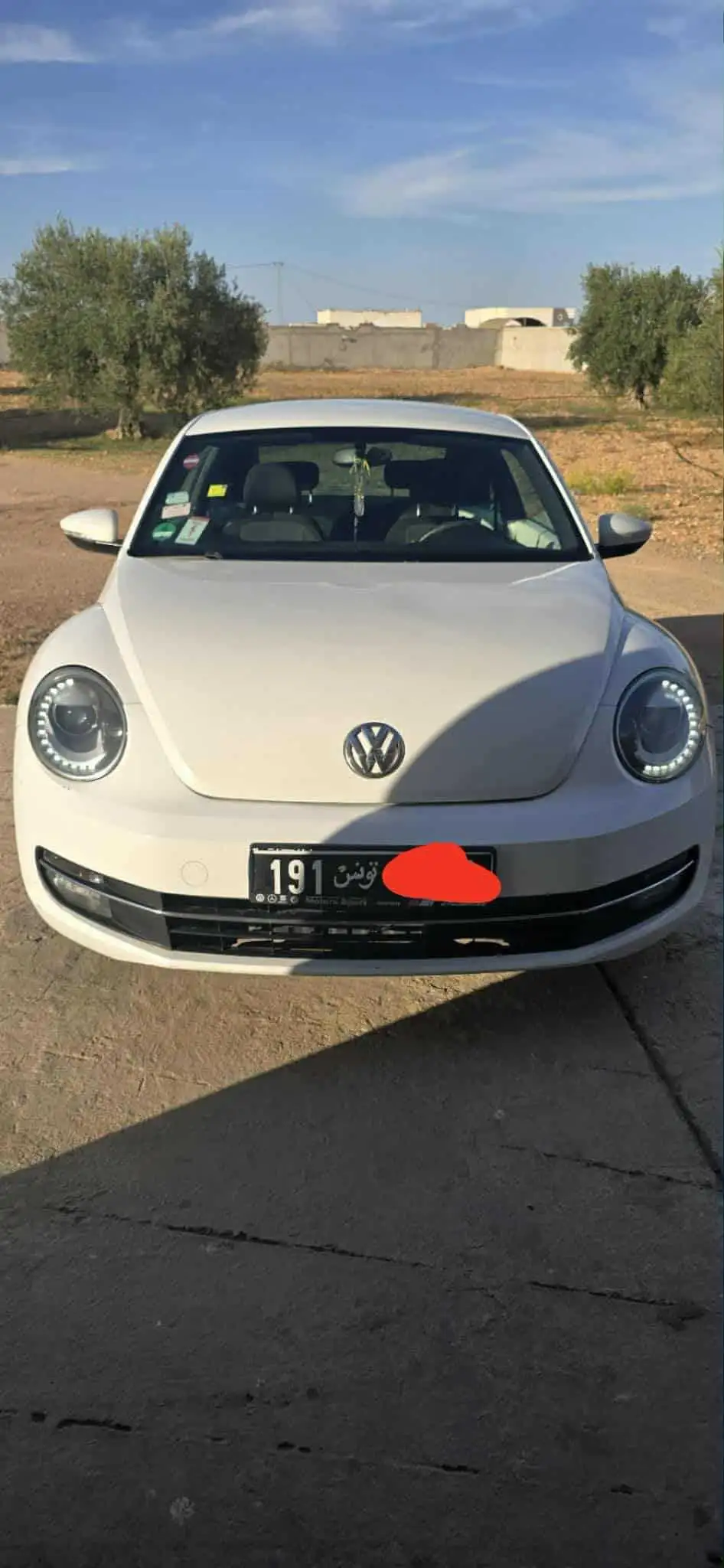 New bettle 