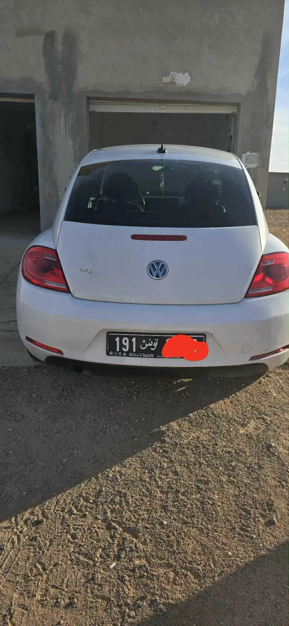 New bettle 