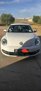 New bettle 