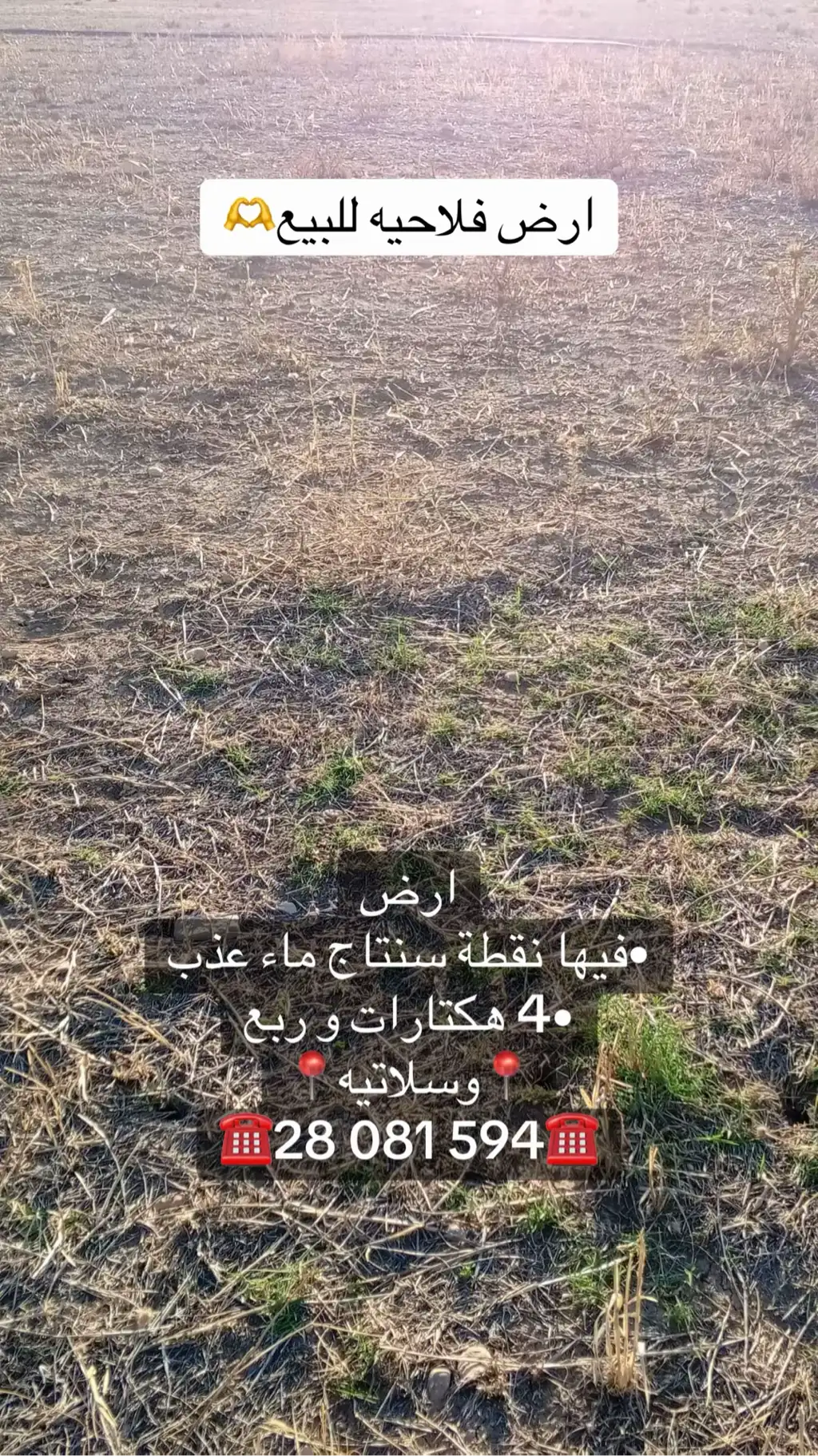 قطعة ارض للبيع