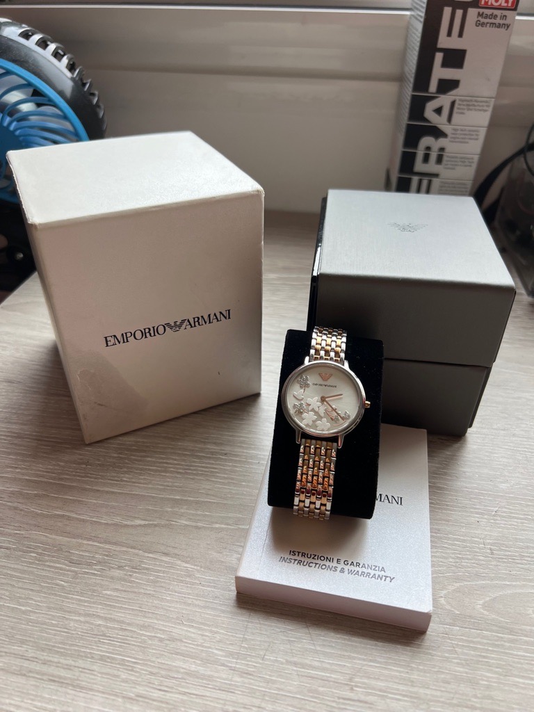 Montre Femme Emporio Armani AR11113