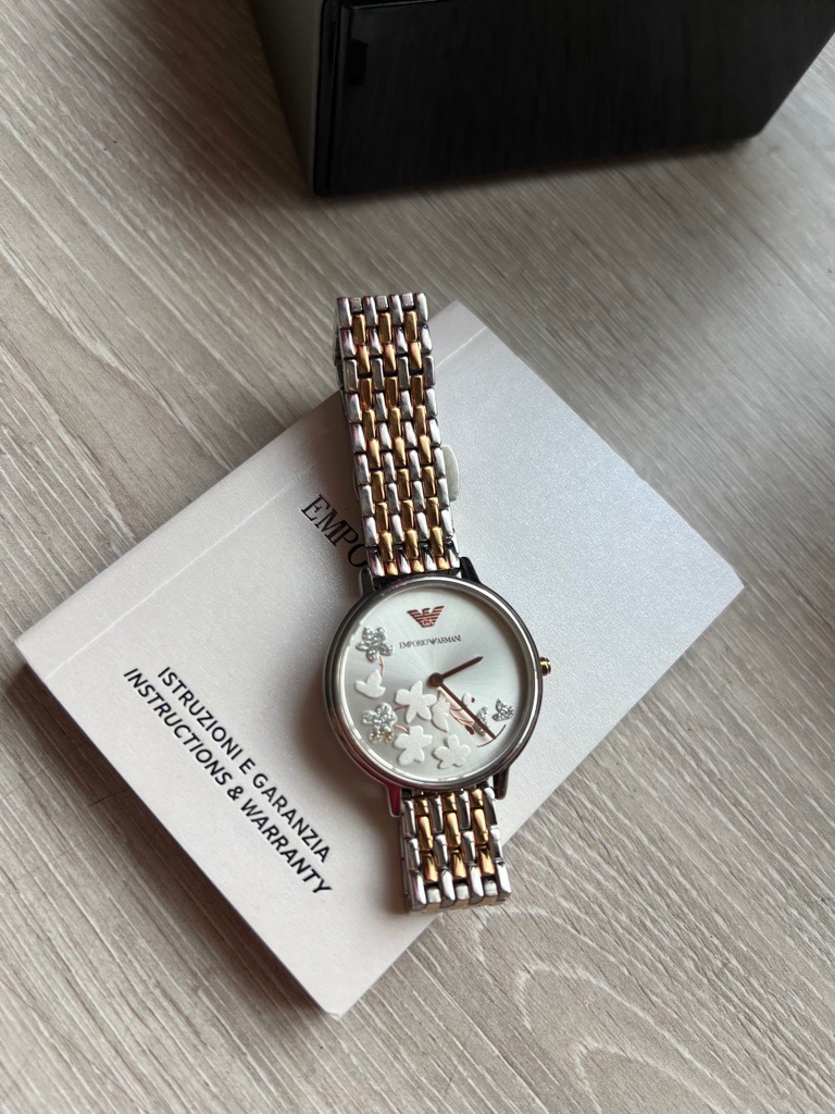 Montre Femme Emporio Armani AR11113