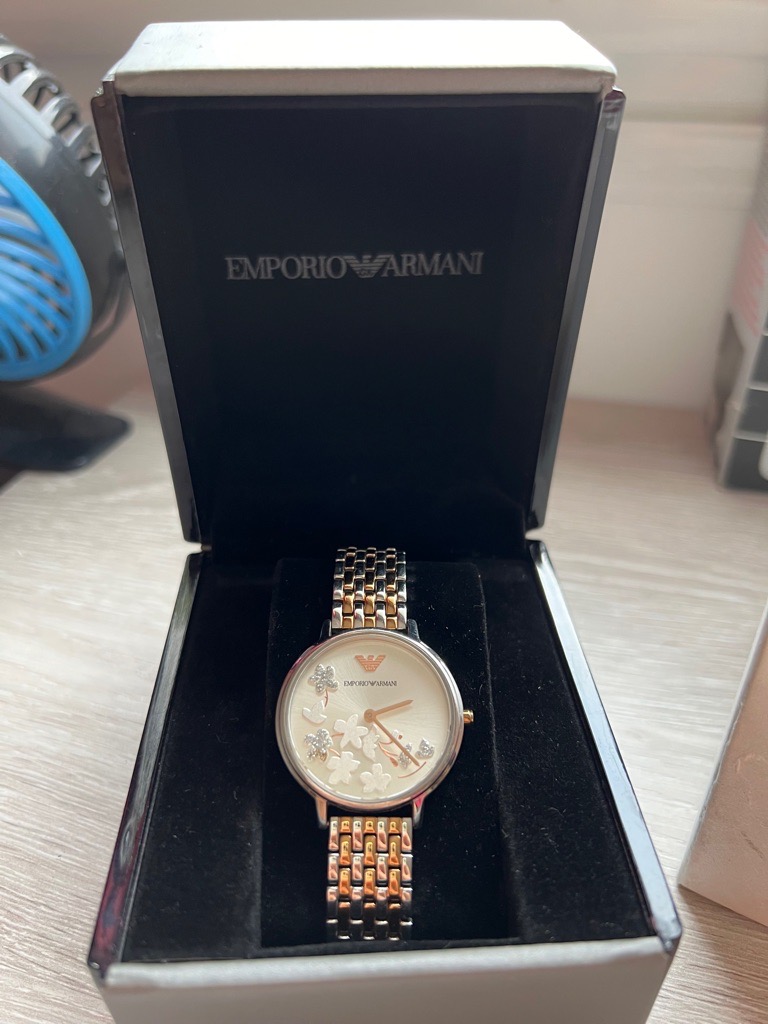 Montre Femme Emporio Armani AR11113