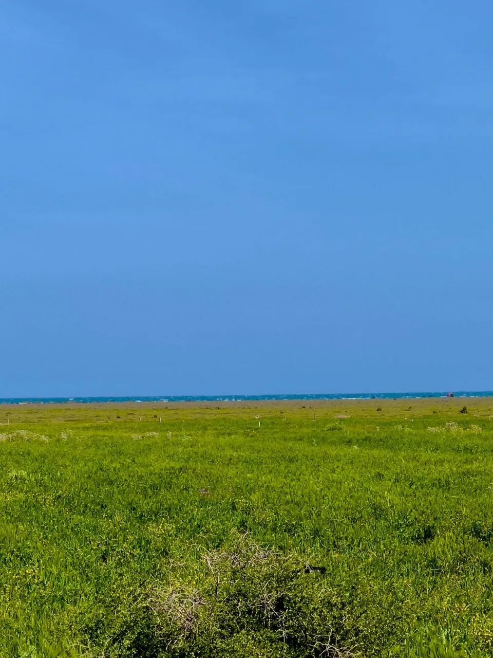 terrain près AFH HAMAMMET